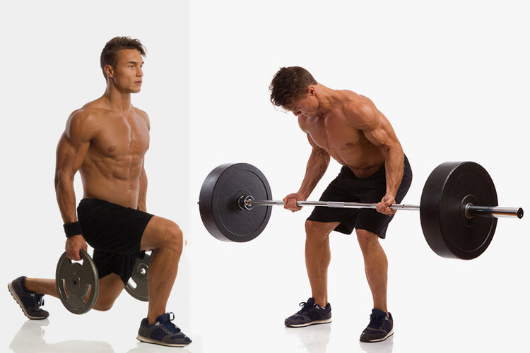  Compound Exercises