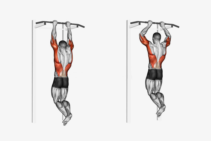 Pull-Up Exercises Guide to Build Upper Body Strength