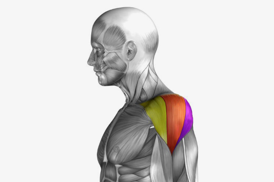 The Barbell Front Raise For Brawnier Shoulder Exercise