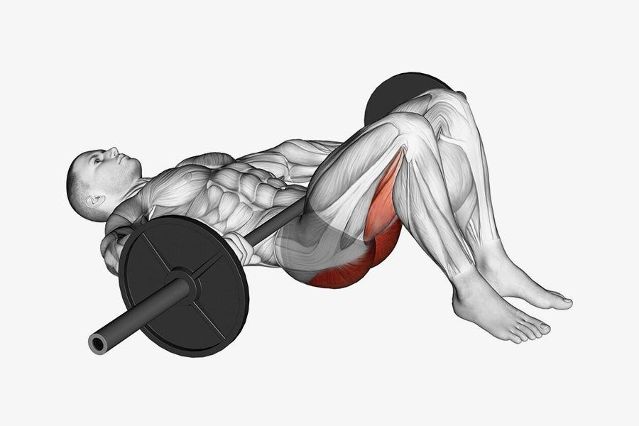 Barbell Glute Bridge – DMoose