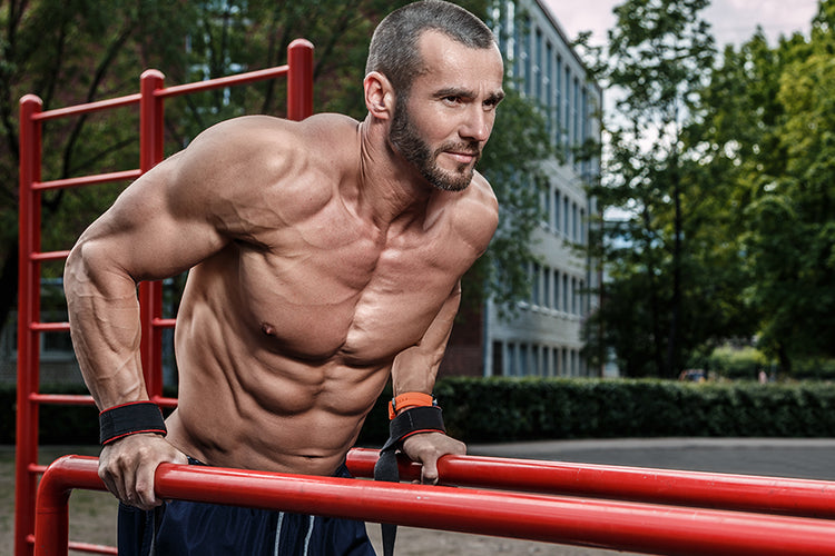 Chest Dips