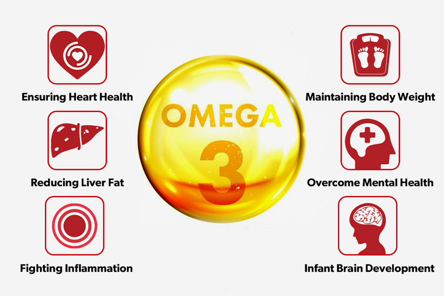 rok Virus Absorberen Omega 3 VS Omega-3-6-9: A Complete Overview | DMoose