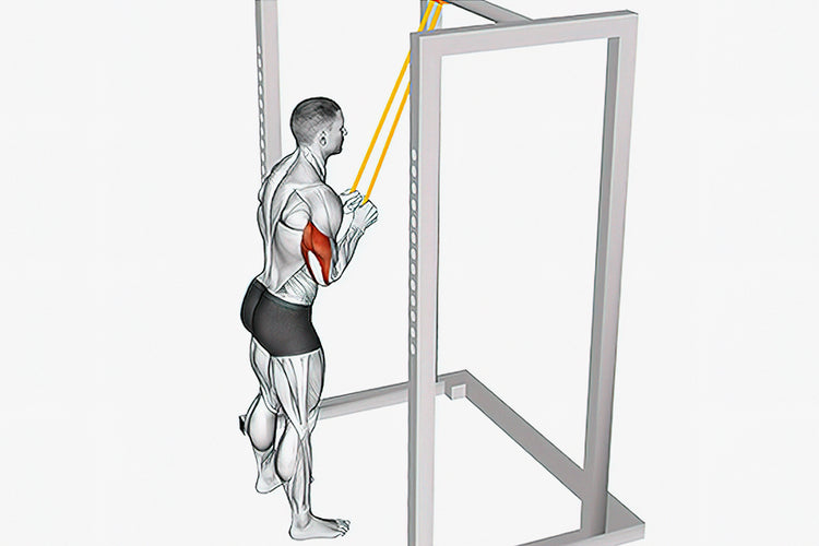7 Best Triceps Band Exercises