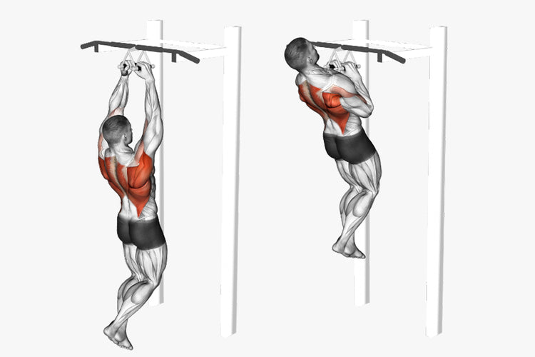 8 Explosive Pull-Up Bar Exercises You Wouldn't Want to Miss Out! – DMoose