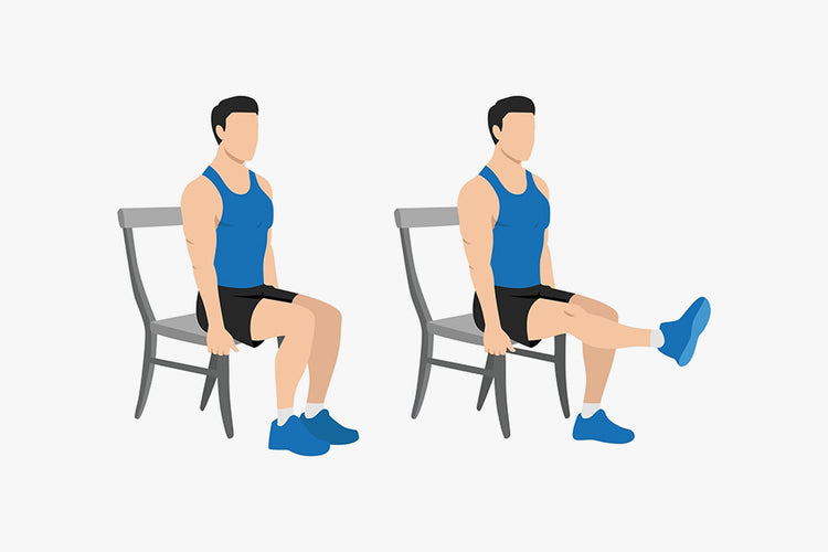 9. Seated Leg Extension