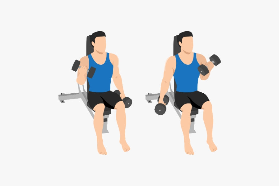 Alternating Dumbbell Curls