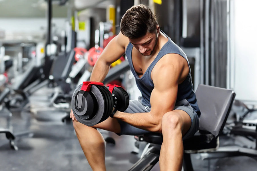 Arm Workouts to Do with Dumbbells