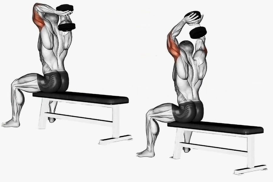 Behind the Head Tricep Extension