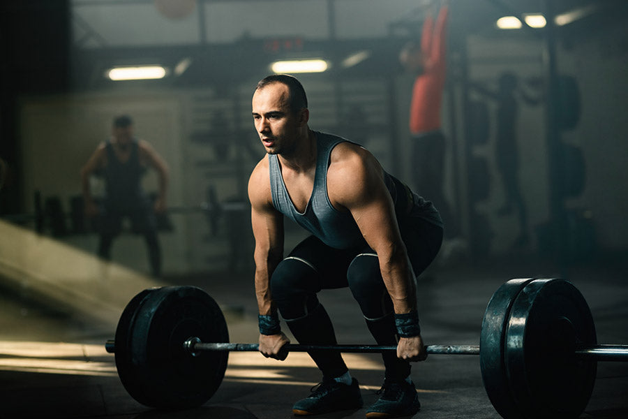 What Do Belt Squats Work: Learn the Benefits of this Effective
