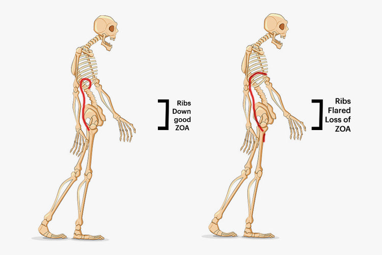 Breathing zone of apposition