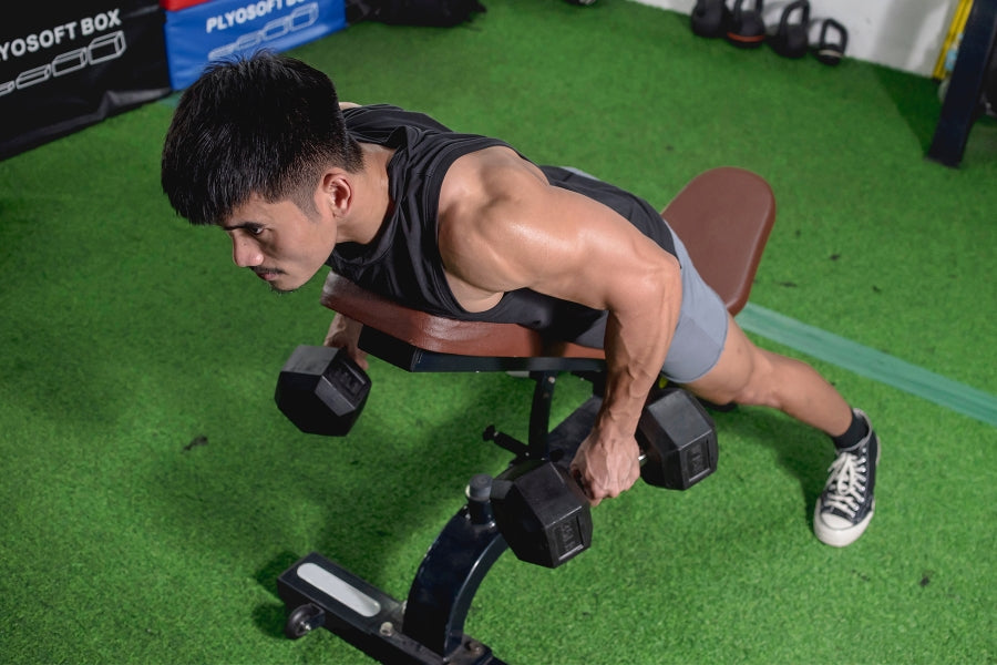 Chest Supported Dumbbell Row