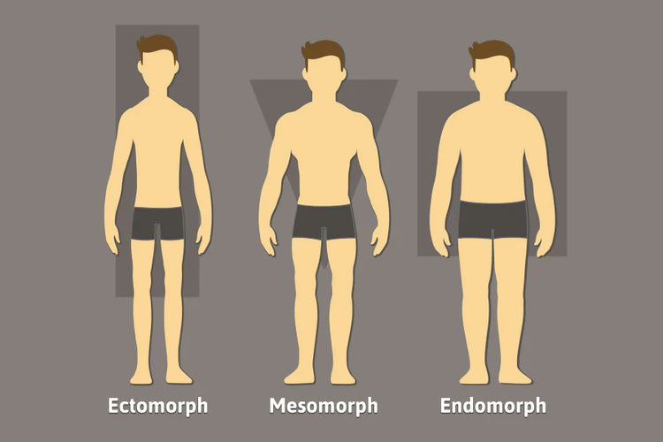 Endomorph Body Type: Losing Weight with an Endomorph Diet – DMoose