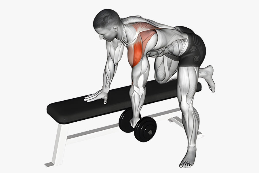 Dumbbell Bent Over Pronated Rows