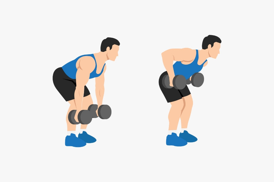 Dumbbell Bent Over Rows