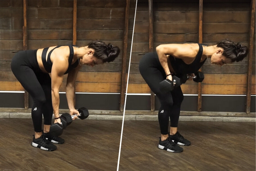 Dumbbell Bent Over Supinated Rows