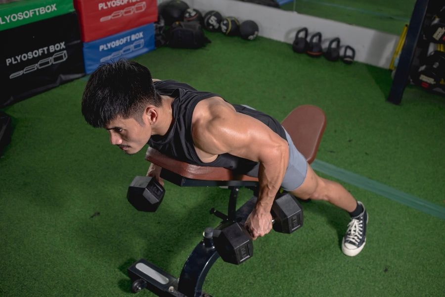 Dumbbell Chest Supported Rows