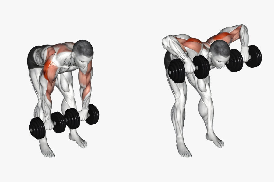 Dumbbell Face Pulls