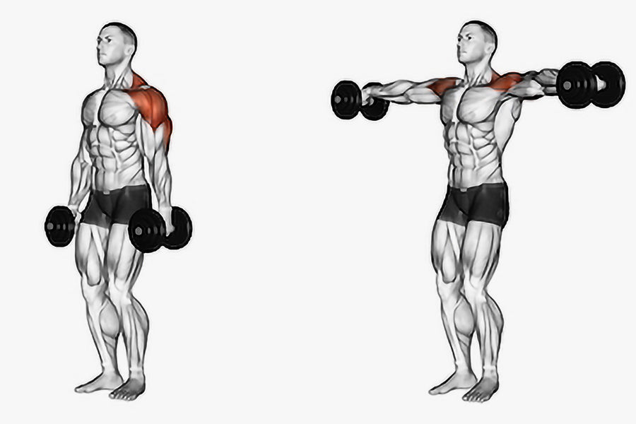 Dumbbell Lateral Raise