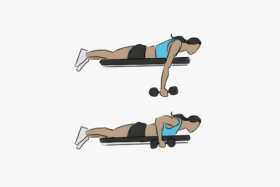 Dumbbell Seal Rows