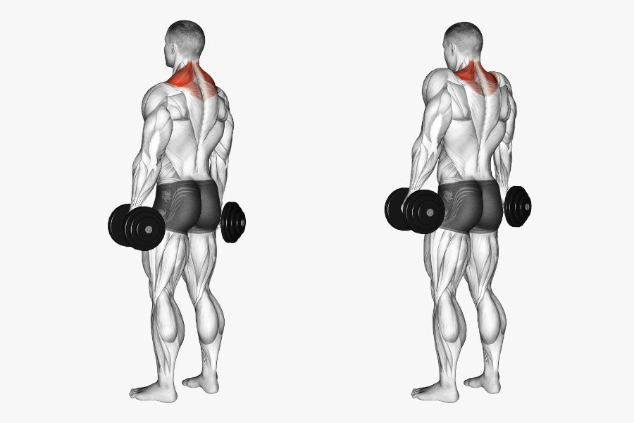 Dumbbell Shrugs