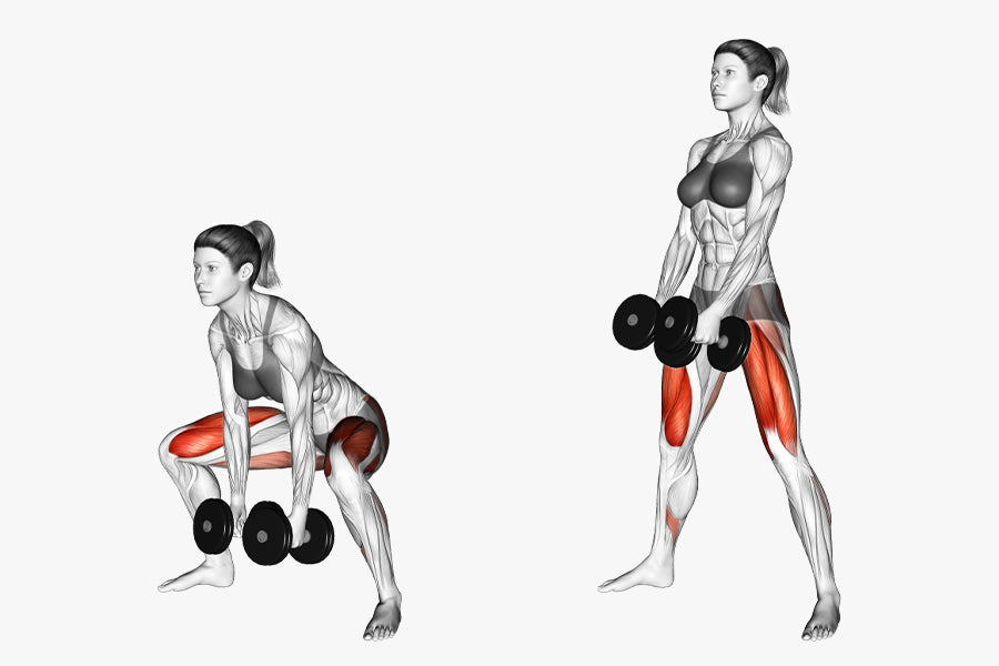 dumbbell leg exercises