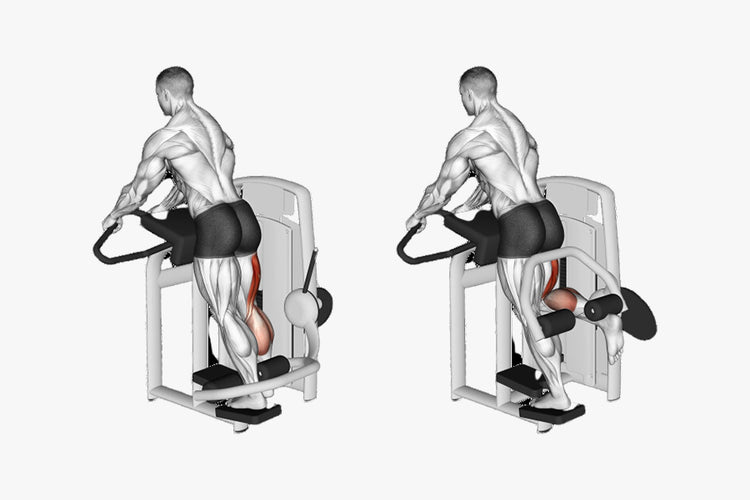 Build Strong Hamstrings for Legs That Last with These Exercises