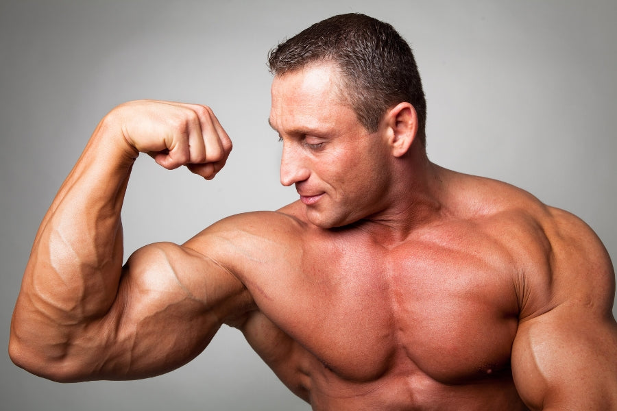 How to Work Long Head of Biceps?