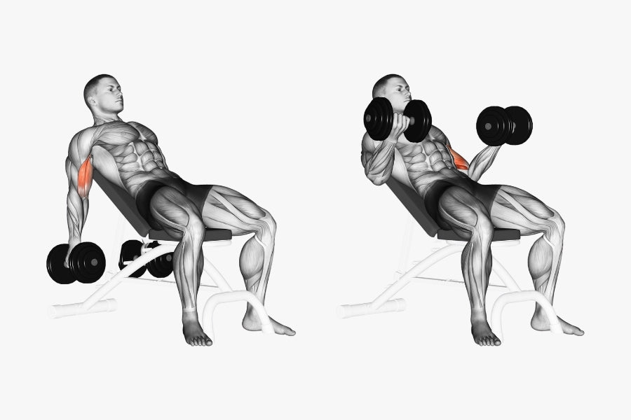 Incline Dumbbell Curl