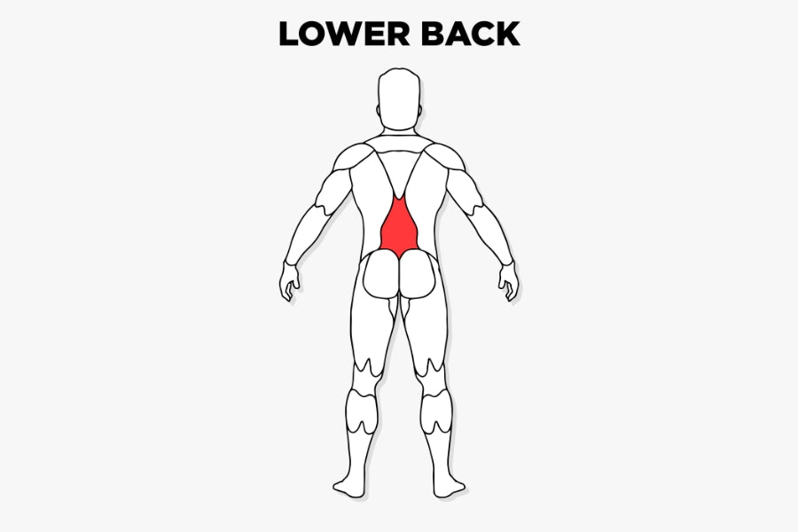 Lower Back