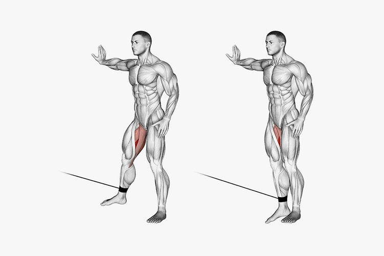 2. Cable Inner Thigh Pulls