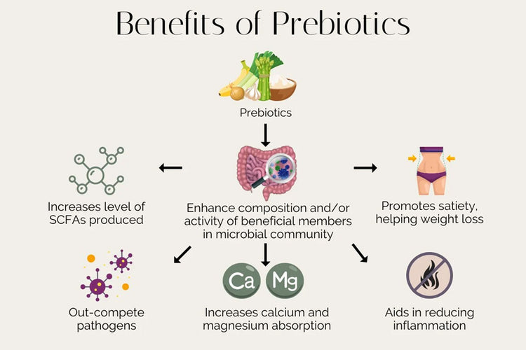 Why take Probiotics