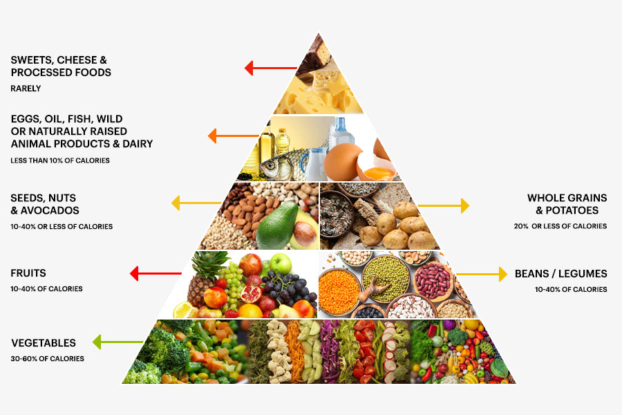 The Endomorph Diet Essentials: Food Lists, Sample Menus, Benefits