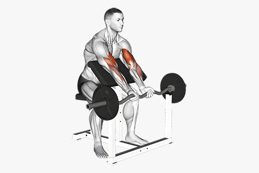 Narrow Grip Preacher Curls