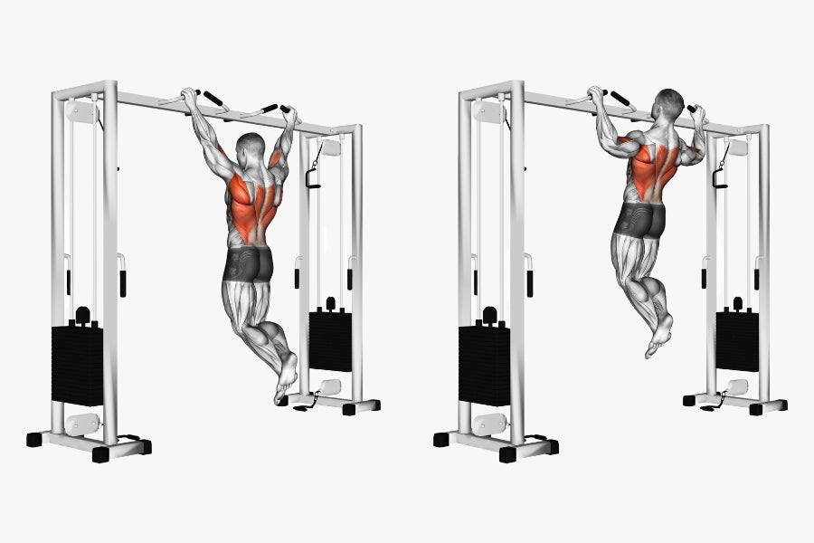 Neutral Grip Pull-Ups