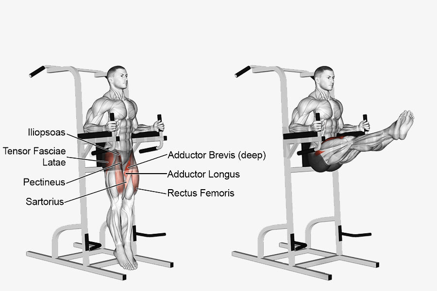 How to Perform Hanging Leg Raises — Proper Form & Variations – DMoose