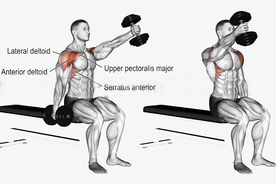 The Right Way to Perform Dumbbell Front Raise & the Mistakes to