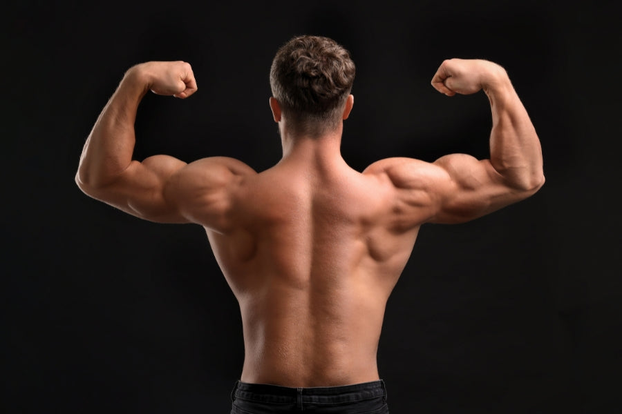 The Aesthetics of a Powerful Back