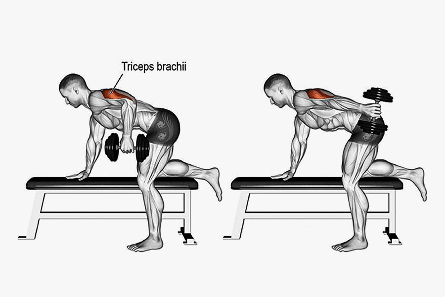 Tricep Kickback