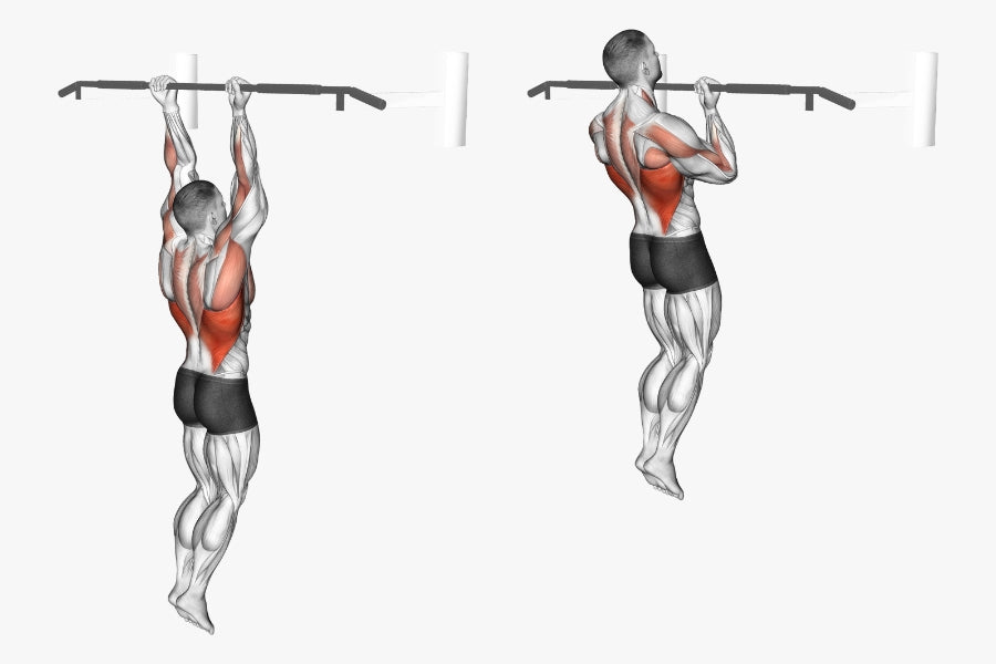 Underhand Chin-Ups