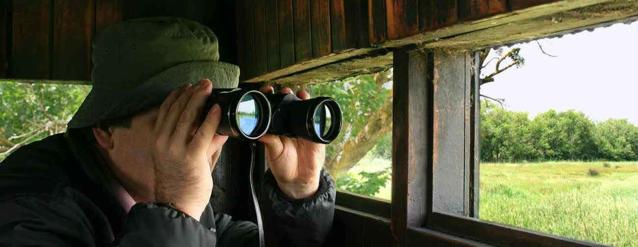 Man using binoculars in hide