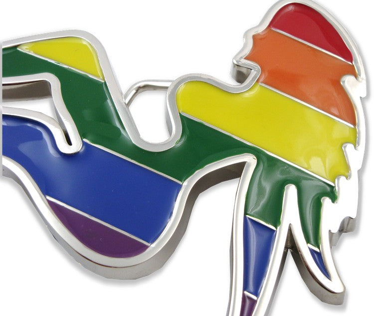 rainbow belt buckle