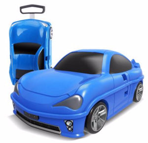 rc car travel case