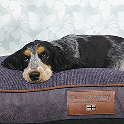 Dog Bed Mattresses