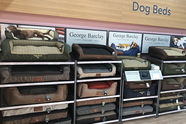 in-store dog bed display
