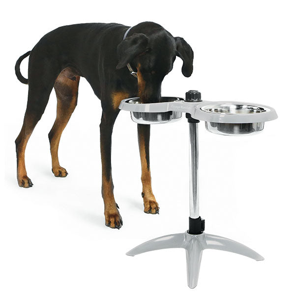 Height Adjustable Dog Feeding Bowl