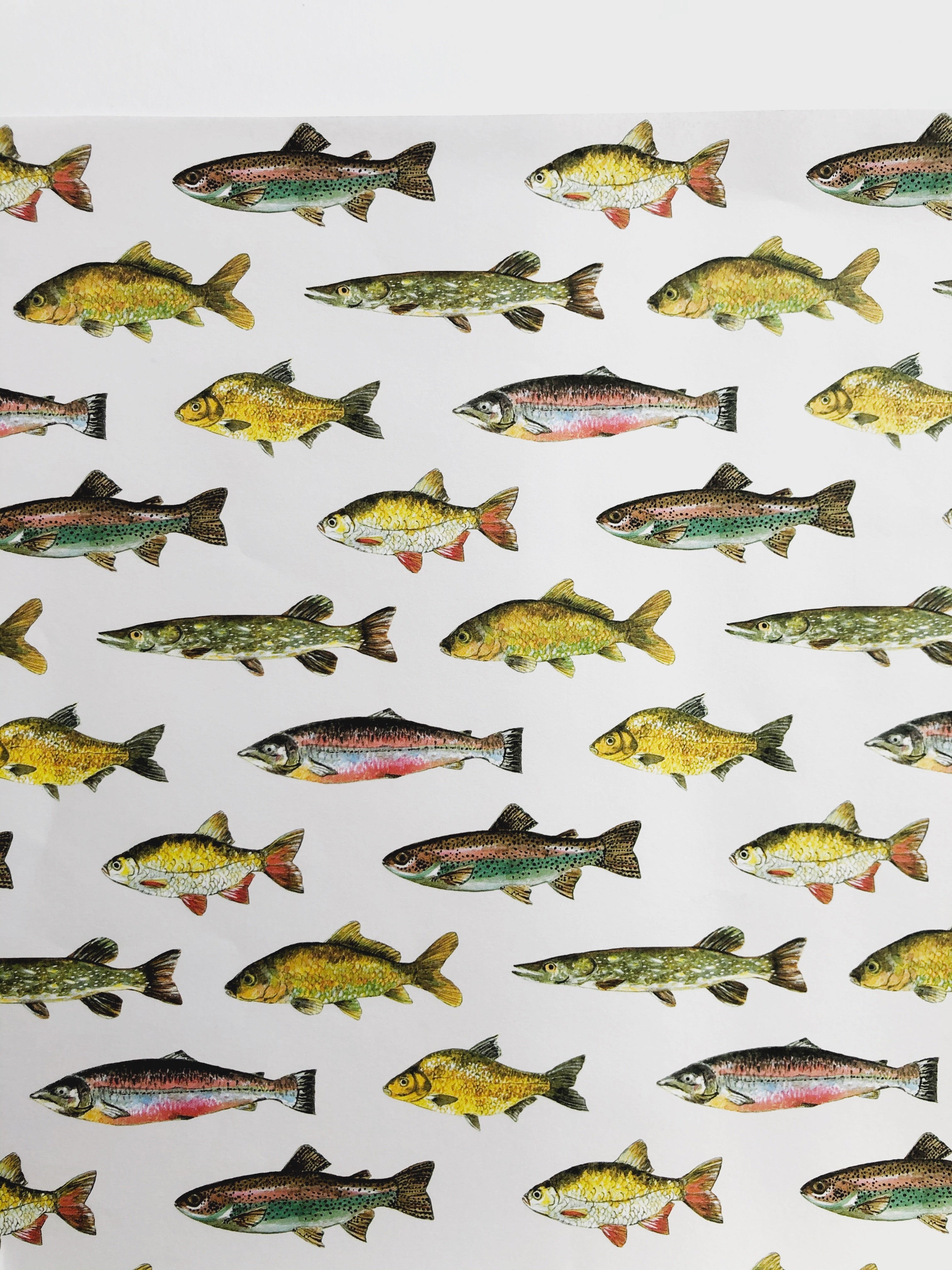 fish gift wrap