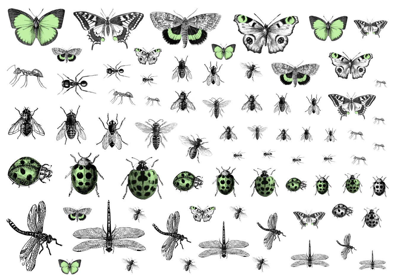 Creepy Crawlies - Light green and black