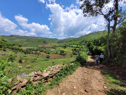 Landscape picture of people in the distance walking along a track in the Kenyan countryside