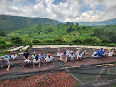 Two rows of staff process coffee by hand at drying racks in the Bumbago Washing Station in Rwanda