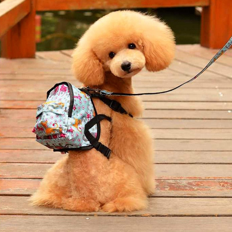 small dog backpack harness